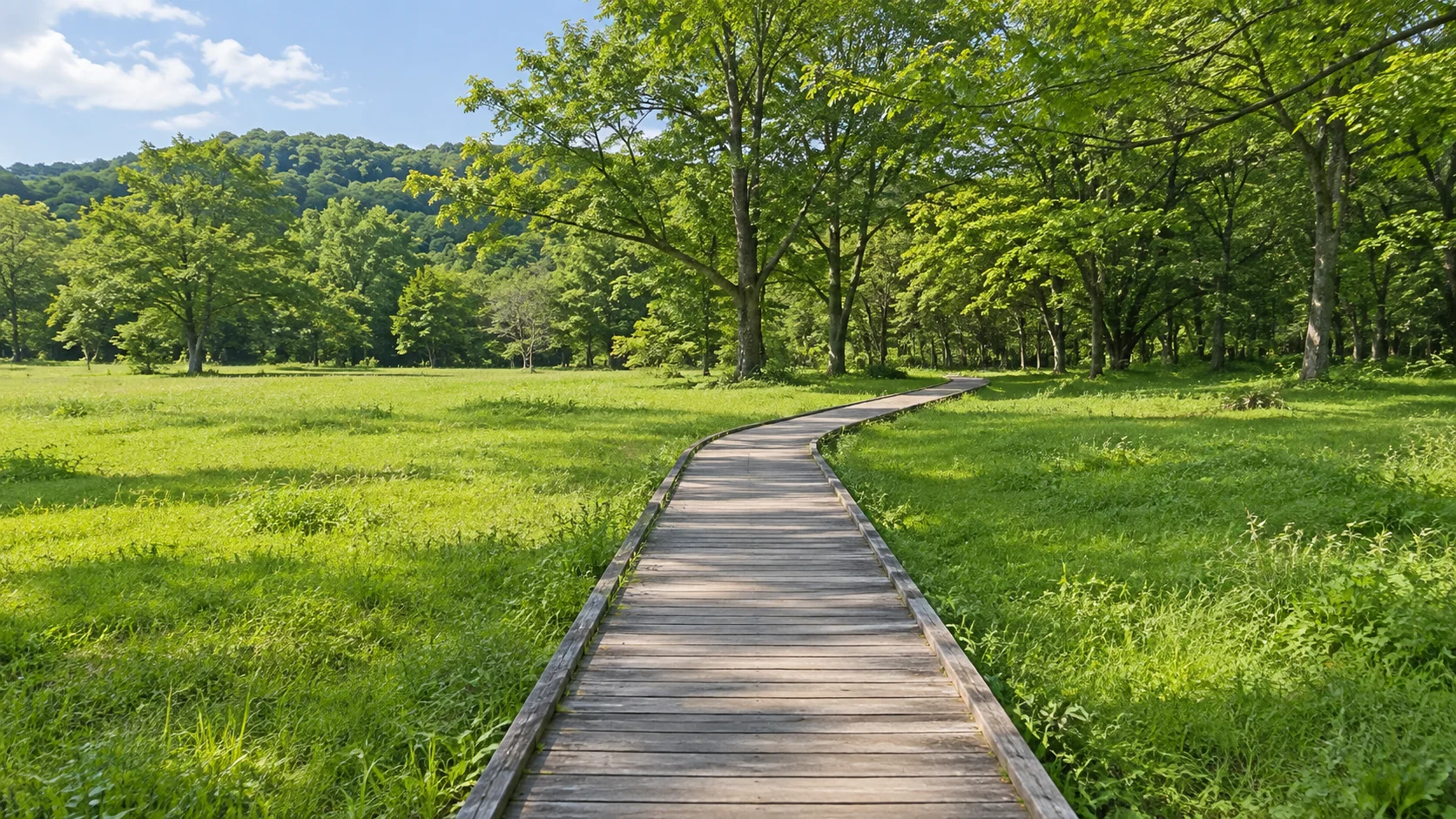芝生の園地に続く木の遊歩道